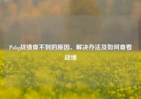 Pubg战绩查不到的原因、解决办法及如何查看战绩