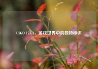 CSGO 17373，游戏世界中的独特标识