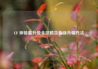 CF 体验服升级全攻略及最快升级方法