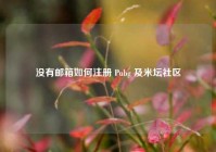 没有邮箱如何注册 Pubg 及米坛社区