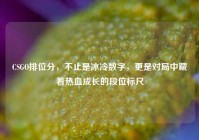 CSGO排位分，不止是冰冷数字，更是对局中藏着热血成长的段位标尺