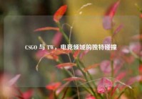 CSGO 与 TW，电竞领域的独特碰撞