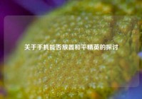 关于手机能否放置和平精英的探讨