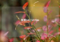 探索LOL776929003