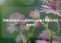 苹果设备连接Steam网络时DNS设置于苹果官网的重要性