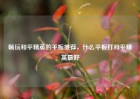畅玩和平精英的平板推荐，什么平板打和平精英最好