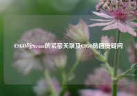 CSGO与Steam的紧密关联及CSGO贴图皮疑问