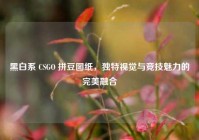 黑白系 CSGO 拼豆图纸，独特视觉与竞技魅力的完美融合