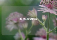 探寻lol智勋的家