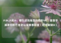 PUBG人机ID，藏在战场角落的隐形NPC，是新手温柔台阶也是老玩家青春彩蛋（附可复制ID）