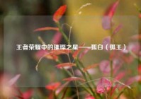 王者荣耀中的璀璨之星——狐白（狐王）