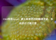 CSGO传奇shroud，被上帝亲吻过的瞄准天赋，永远的云之巅王者