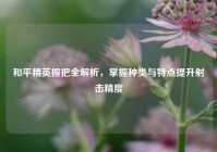 和平精英握把全解析，掌握种类与特点提升射击精度