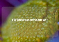 王者荣耀中该选谁做老婆比较好