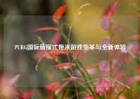 PUBG国际新模式带来游戏变革与全新体验