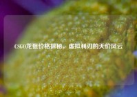 CSGO龙狙价格探秘，虚拟利刃的天价风云