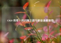 CSGO 传奇 F 的闪耀之路与职业准星推荐