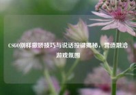 CSGO别样撒娇技巧与说话按键揭秘，营造融洽游戏氛围