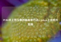 PUBG中上传头像的最简单方法，pubgm上传照片指南
