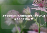 王者荣耀遇上TheShy配音及天津格林国际幼儿园学费会产生何种火花