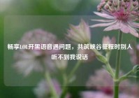 畅享LOL开黑语音遇问题，共筑峡谷征程时别人听不到我说话