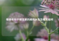 那些年和平精英里的痴鸡队友及相关疑问