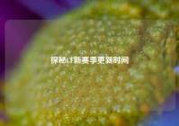 探秘CF新赛季更新时间