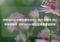 网吧玩PUBG会触发哪些封禁？封号/封硬件/封IP机制全解析 网吧玩PUBG避坑指南看这篇就够