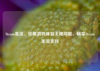 Steam串流，拓展游戏体验无限可能，畅享Steam串流支持