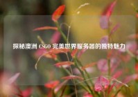 探秘澳洲 CSGO 完美世界服务器的独特魅力