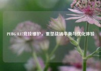 PUBG 8.17竞技维护，重塑战场平衡与优化体验