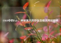 CSGO中的Fade，神秘强大的存在及相关网站疑问