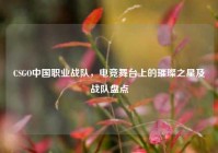 CSGO中国职业战队，电竞舞台上的璀璨之星及战队盘点