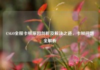 CSGO全程卡顿原因剖析及解决之道，卡帧问题全解析