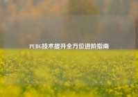 PUBG技术提升全方位进阶指南