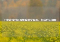 王者荣耀封印神兽攻略全解析，怎样封印神兽