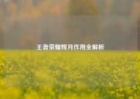 王者荣耀辉月作用全解析