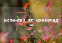 使命召唤16夜视镜，黑暗中的决胜利器及开启方法