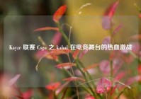 Kayzr 联赛 Csgo 之 kabal 在电竞舞台的热血激战