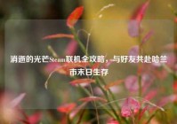 消逝的光芒Steam联机全攻略，与好友共赴哈兰市末日生存