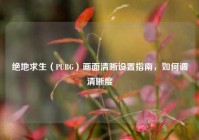 绝地求生（PUBG）画面清晰设置指南，如何调清晰度