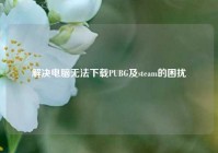 解决电脑无法下载PUBG及steam的困扰