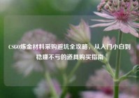 CSGO炼金材料采购避坑全攻略，从入门小白到稳赚不亏的道具购买指南