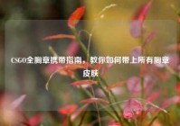 CSGO全胸章携带指南，教你如何带上所有胸章皮肤
