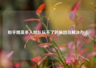 和平精英多人组队玩不了的原因及解决办法