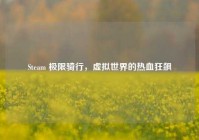 Steam 极限骑行，虚拟世界的热血狂飙