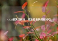 CSGO爆头线探秘，精准打击的关键指引