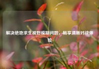 解决绝地求生视野模糊问题，畅享清晰对战体验