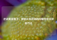 逆战黄金绳子，穿越火线战场的闪耀传奇及获取方法