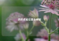 逆战虎鲨位置全解析